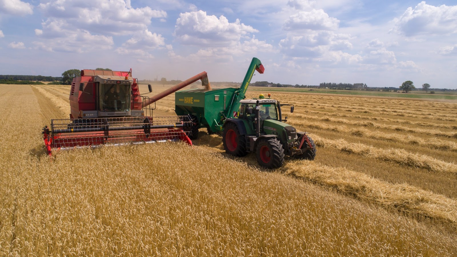 Incrementa tu rentabilidad en el cultivo de trigo