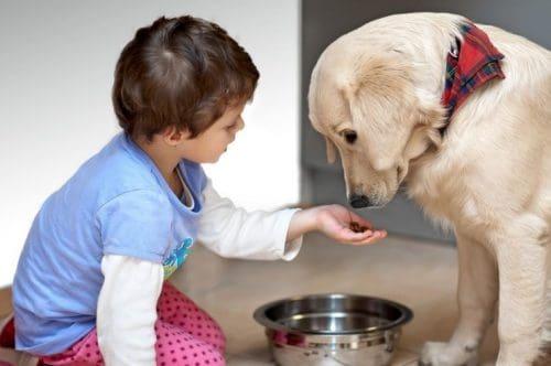 How to Start Teaching Your Kids Proper Pet Care - Emmy's Mummy