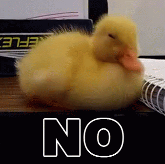 No Duck GIF