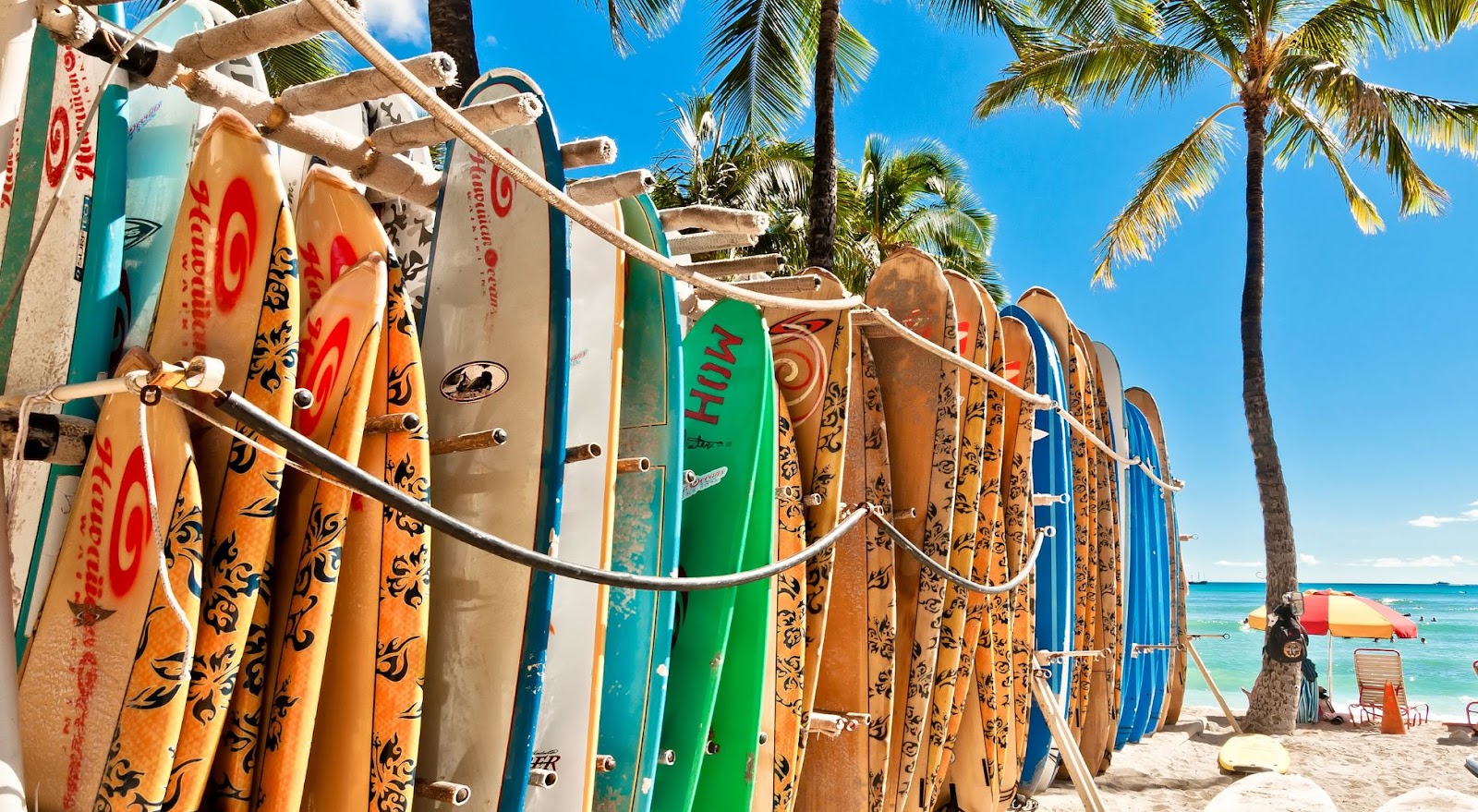 Surfing in Hawaii