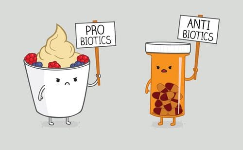 A imagem mostra um protesto entre um pote de iogurte com frutas vermelhas e um pote de pílulas. o pote de sorvete levanta a placa probióticos e o pote de pílulas levanta a placa antibióticos.A imagem pode ser usada junto com frases de farmacêutico em alguma brincadeira.
