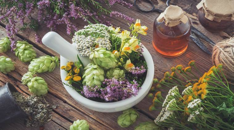 Herbal supplements can be a great way to help support your health and well-being, but what exactly are they? In this article, we'll discuss herbal supplements definition, what benefits they offer, and why you should consider incorporating them into your daily routine. If you're looking for natural ways to boost your health, read on!