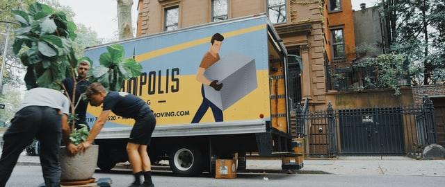 a moving truck and three professional movers carrying a large plant