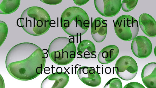Chlorella cells and message of how chlorella helps with all 3 phases of detoxification by The Healthy RD
