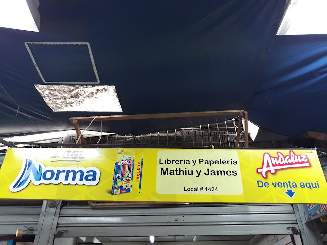Libreria Y Papeleria Marthiu Y James