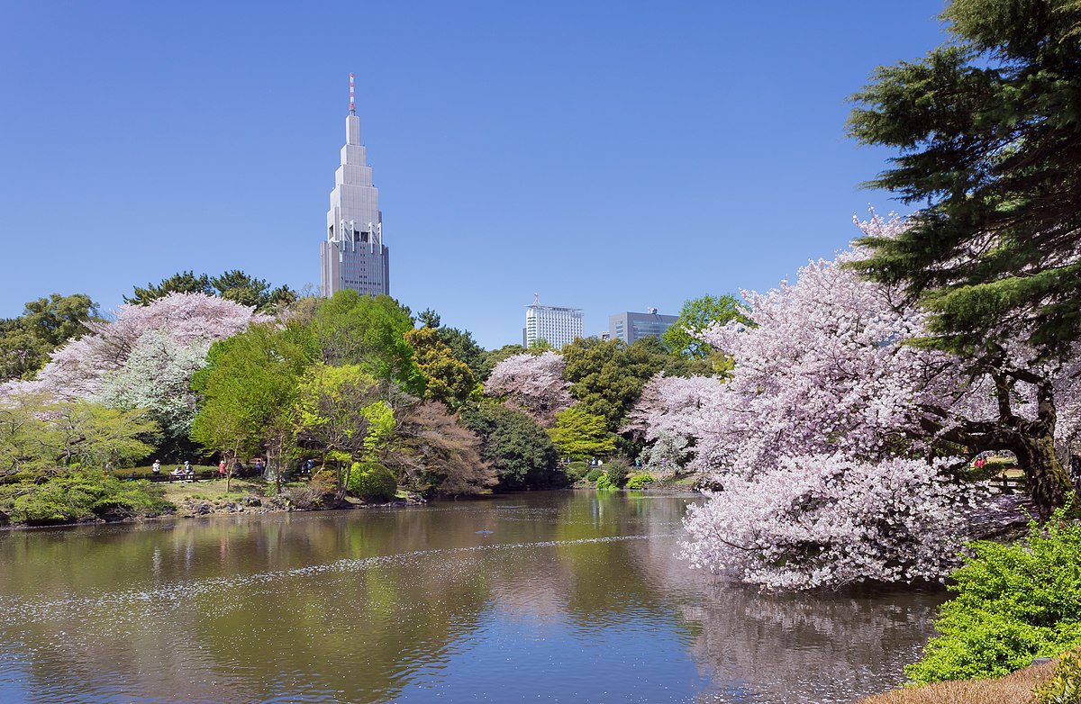 6 สวนสาธารณะ สำหรับการปิคนิคของคุณและครอบครัว ที่ต้องไปเยือนสักครั้งในเมืองโตเกียว ! 7