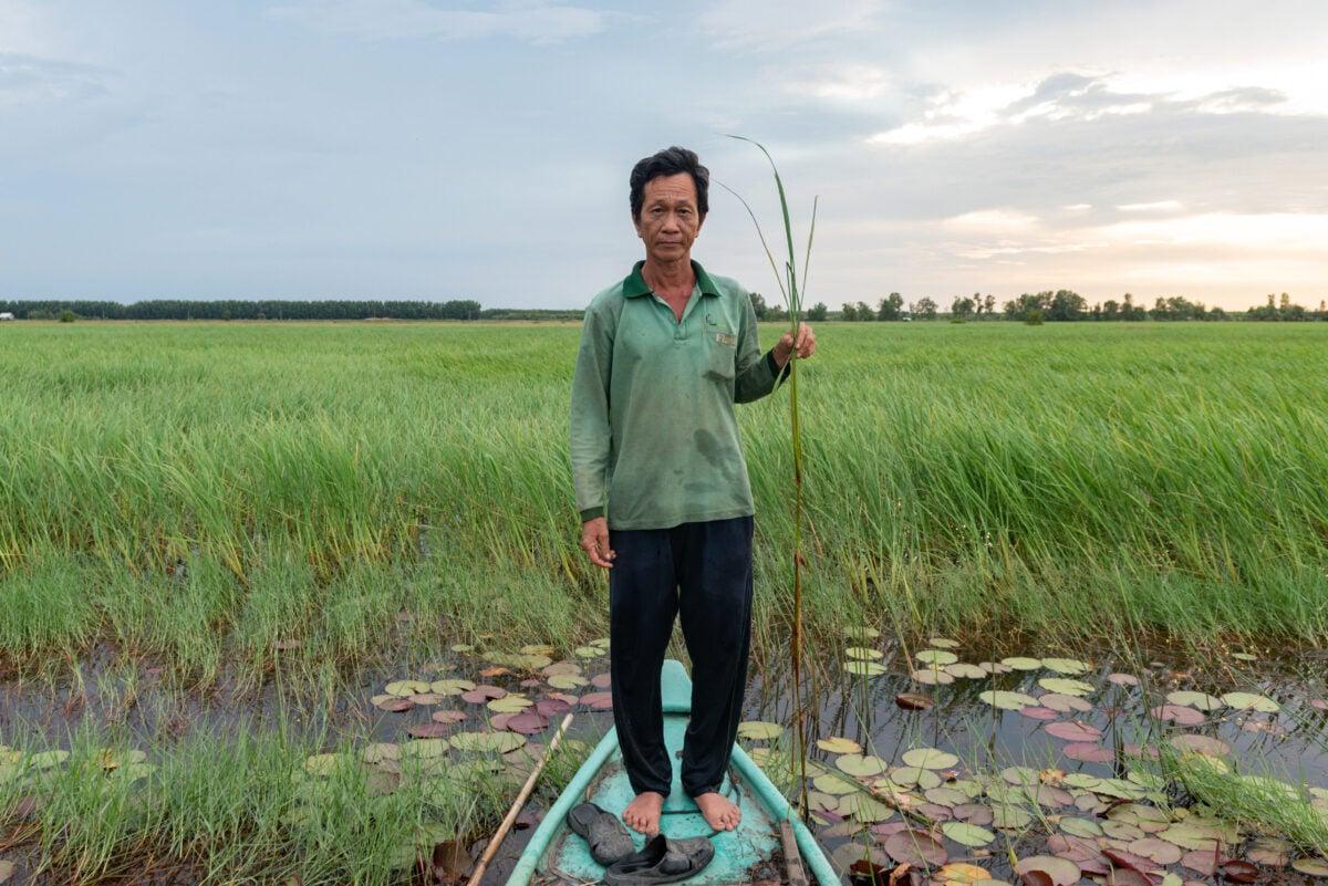 Floating_Rice_01-1200x801