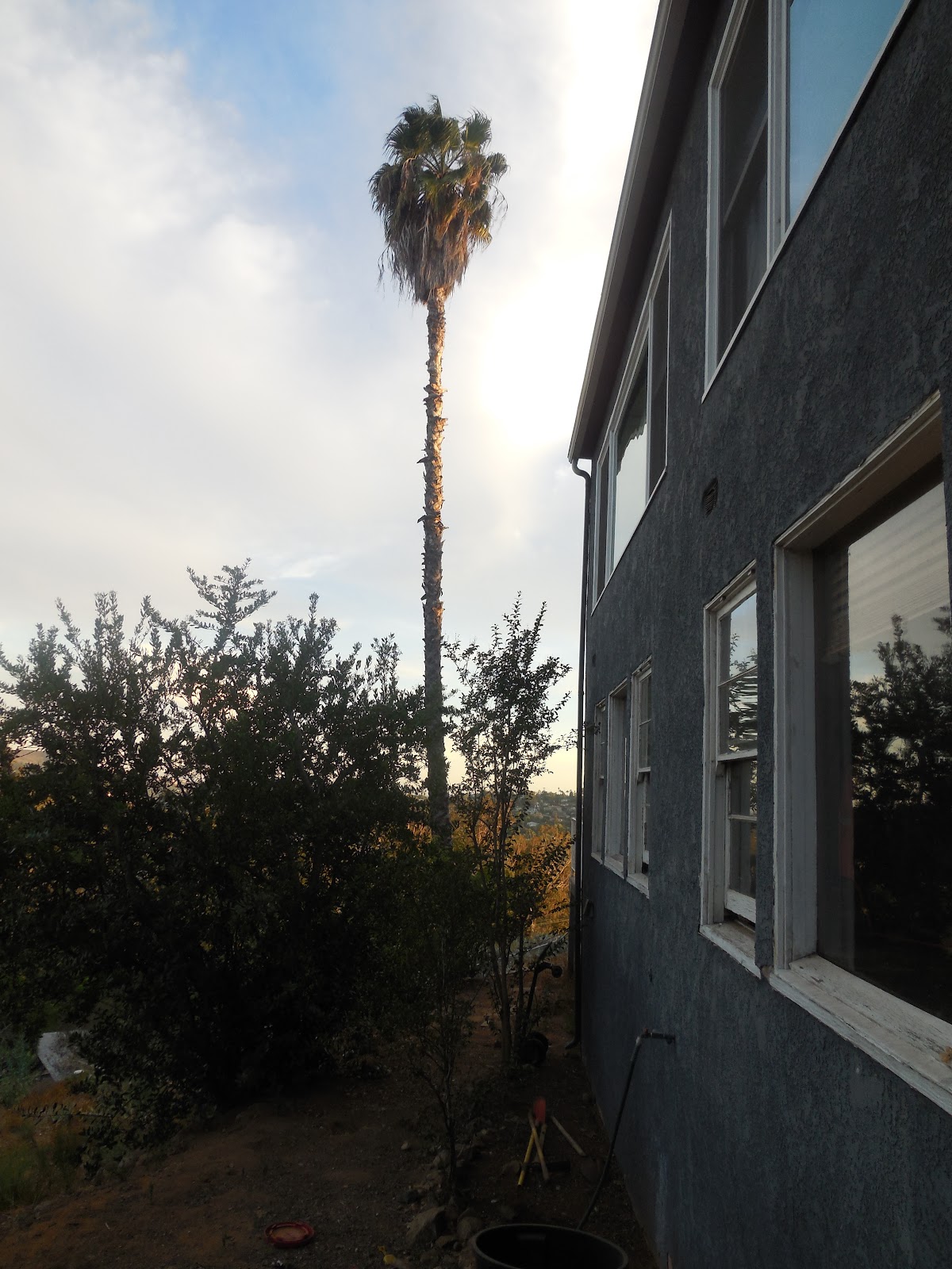 DSCN4310.JPG