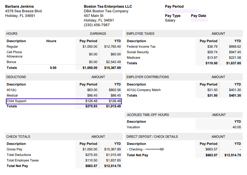 What does a garnishment look like on a pay stub? Example from Patriot's payroll software.