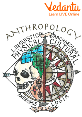 An Example of Anthropology Logo