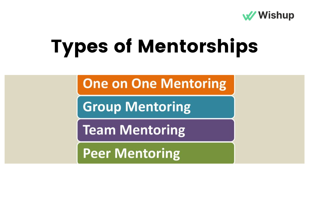types of mentorship programs