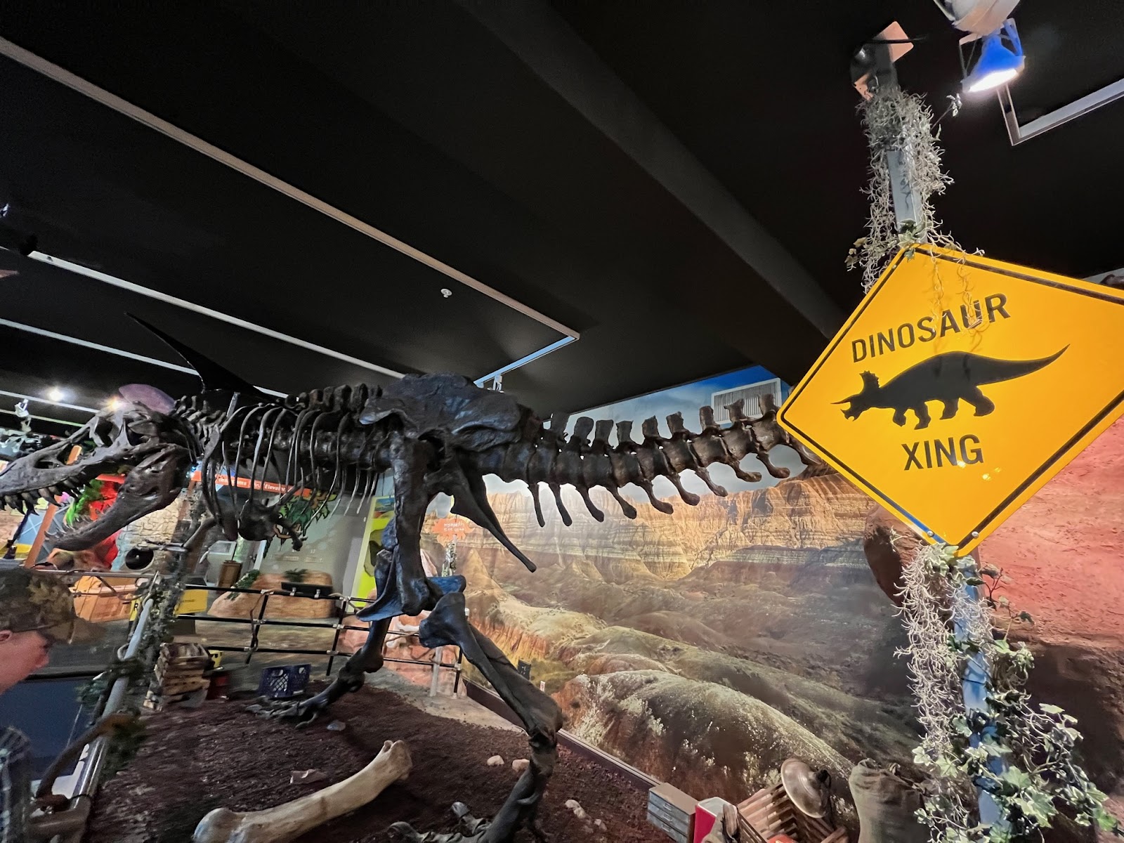 Things to do in Sioux Falls with kids in clude visiting the dinosaur exhibits bat Washington Pavilion