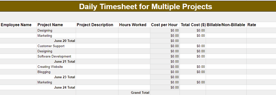 Daily Project Timesheet Template