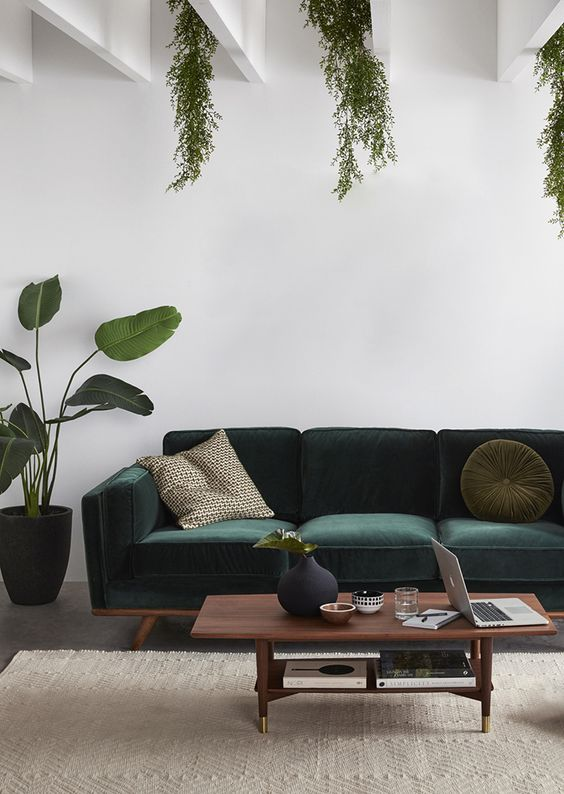 Sala com sofá  verde esmeralda e plantas na decoração