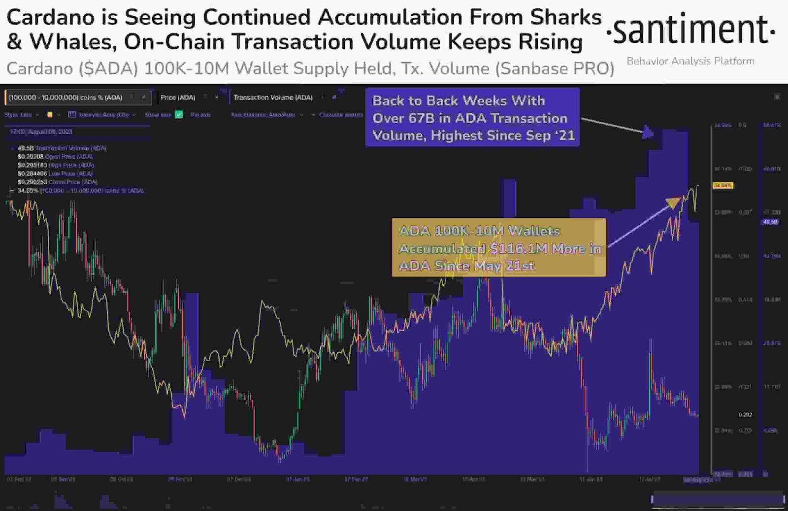 Cardano breakout imminent? Whale holdings near 1-year high