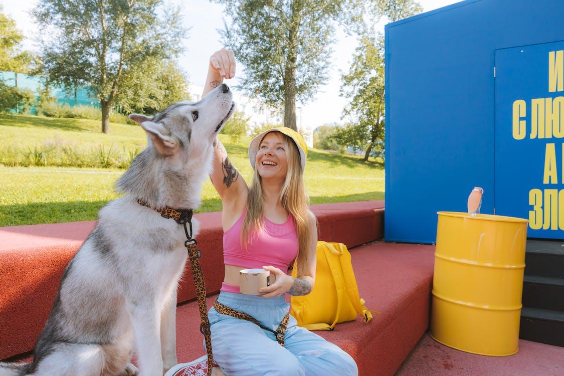 Free Woman Feeding Dog Near Grass Field Stock Photo
