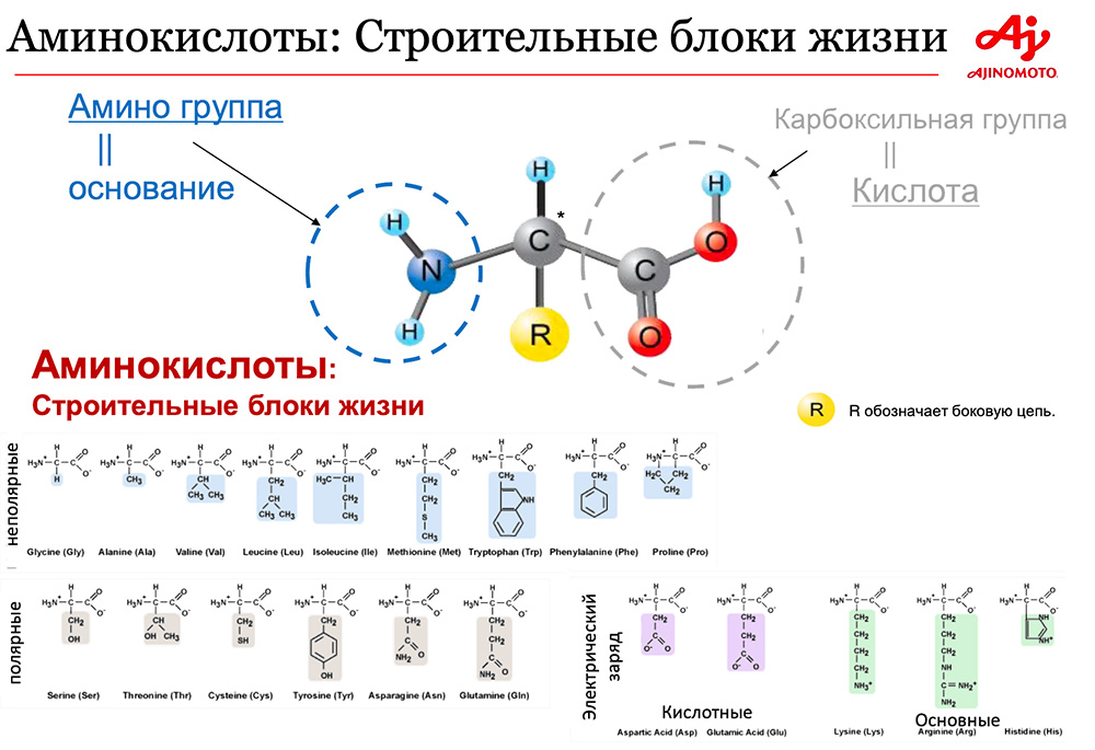 Фруктовые аминокислоты и их использование в косметологии проект