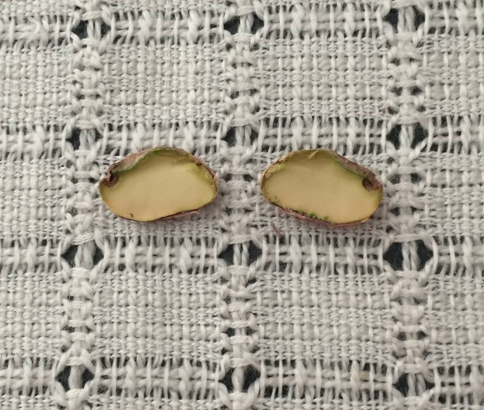 Macedonian pistachio cut in two