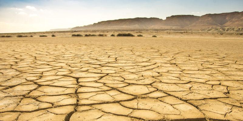 Clima Árido: información, características, tipos, flora y fauna