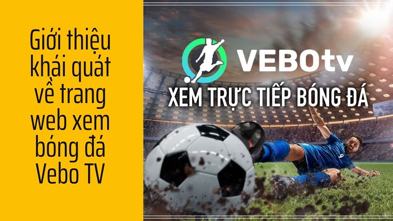 Trang web Vebo TV - Thưởng thức bóng đá hấp dẫn miễn phí  , , Hỏi đáp