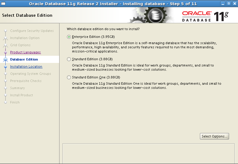 C:\Users\Guidanz1\Desktop\sreens\Screenshot-Oracle Database 11g Release 2 Installer - Installing database - Step 5 of 11.png
