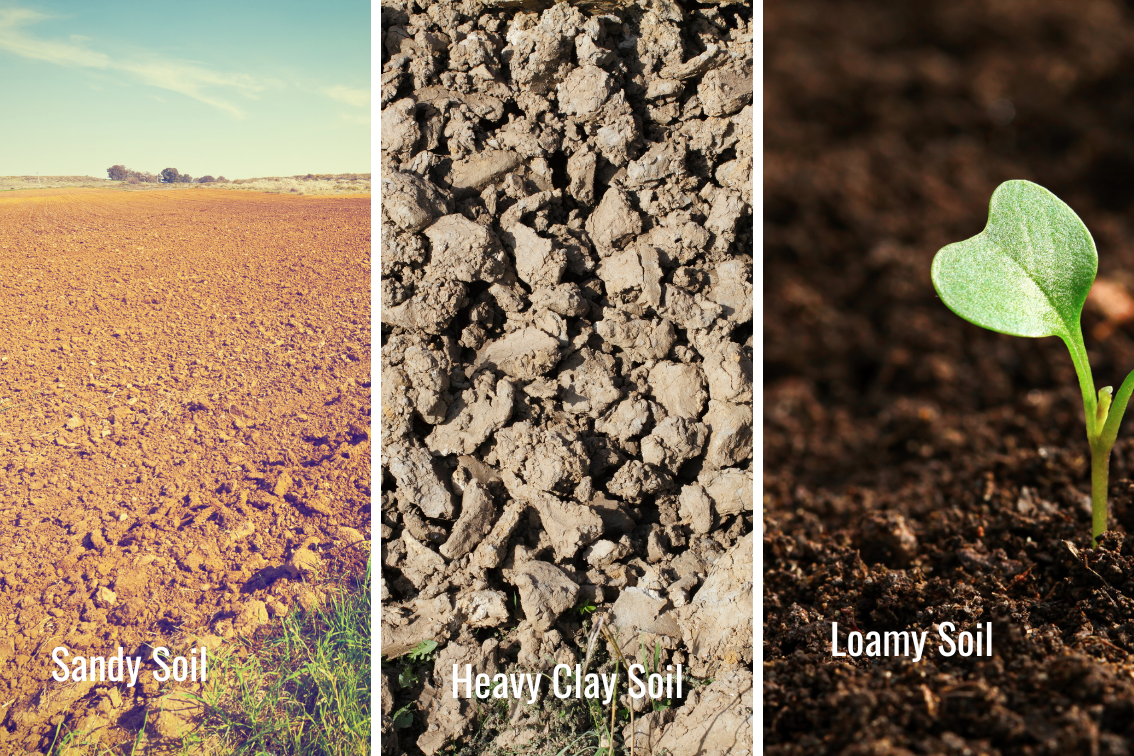 three sections showing examples of sandy soil, heavy clay soil and rich loamy soil