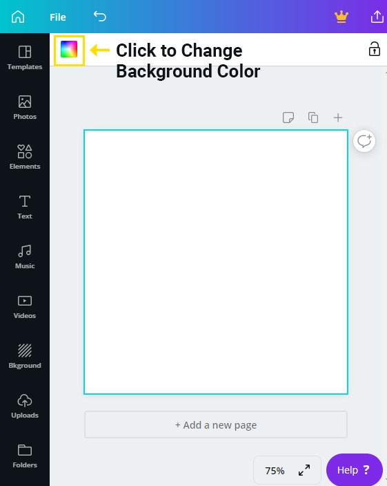 Set Background Color in Canva