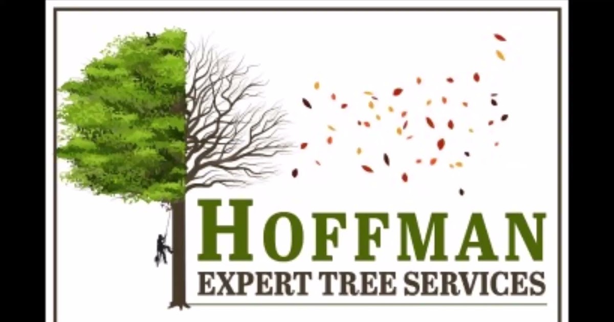 Hoffman Expert Tree Services.mp4
