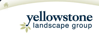 Logotipo de la empresa Yellowstone Landscape Group