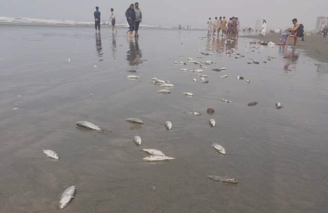 karachi-sealife-beach