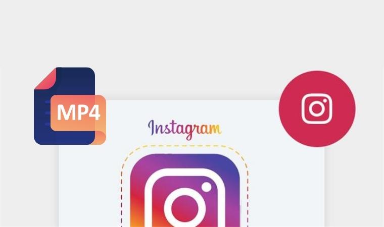 What Is The Best Instagram Video Format - DSers