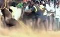 Video for Jayalalitha on Jallikattu