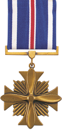 C:\Users\Snyders\Documents\William Hingston - Recipient - Military Times Hall Of Valor_files\18-medal.png