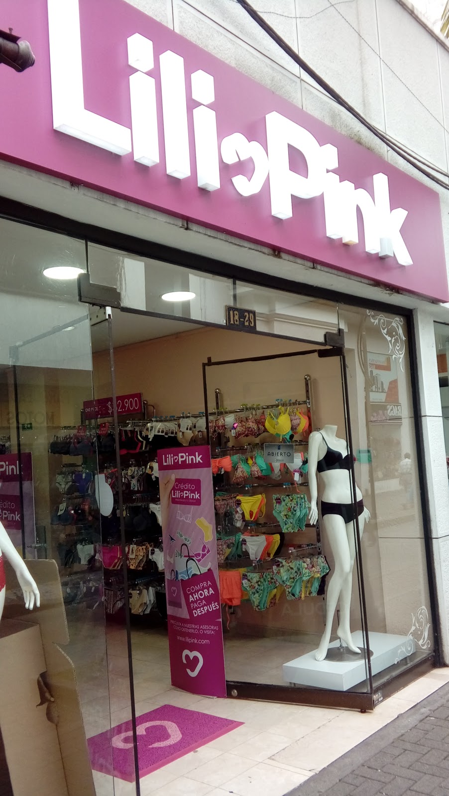 INTIMA LILI PINK PEREIRA CENTRO 2