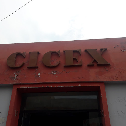CICEX - Arequipa