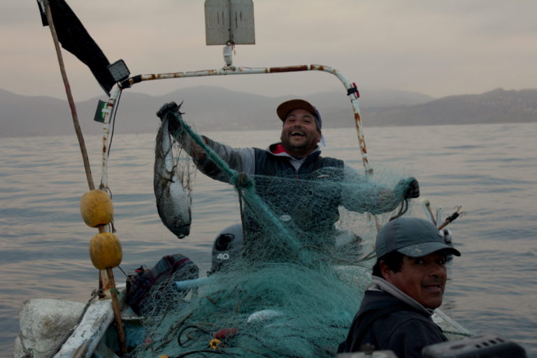 Pescadores artesanales pescando merluza. El único ejemplar adulto pescado en la jornada de trabajo. Foto: Michelle Carrere