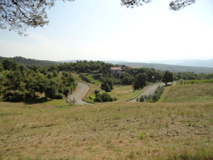 SS317-x-colonnetta di prodo.jpg