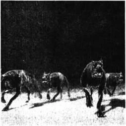 D:\0 wd yedek\acr yedek\1 film indirme\forbidden_magic_ancients_12_dosyalar\image152.jpg