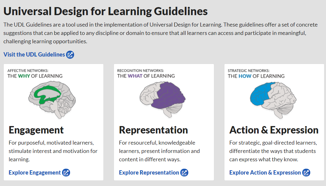 Connecting the UDL principles with the brain networks and the goals of expert learning.