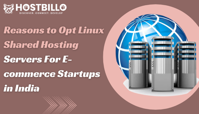 Reasons to Opt Linux Shared Hosting Servers For E-commerce Startups in India 