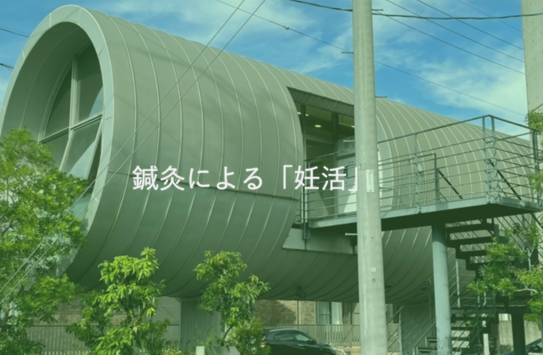 東洋医学の観点から見る妊活とは？不妊の原因や腎・肝の働きなどを解説｜明生鍼灸院