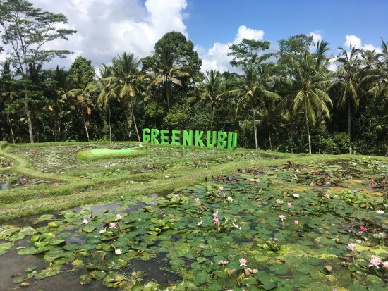 Green Kubu Restaurant Ubud