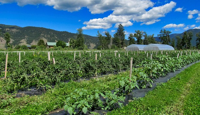 Integrated Farming System