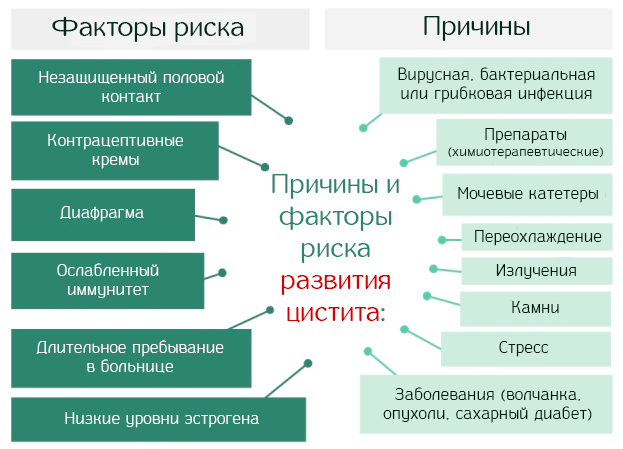 Список топ-5 таблеток от цистита для женщин без рецептов по версии КП