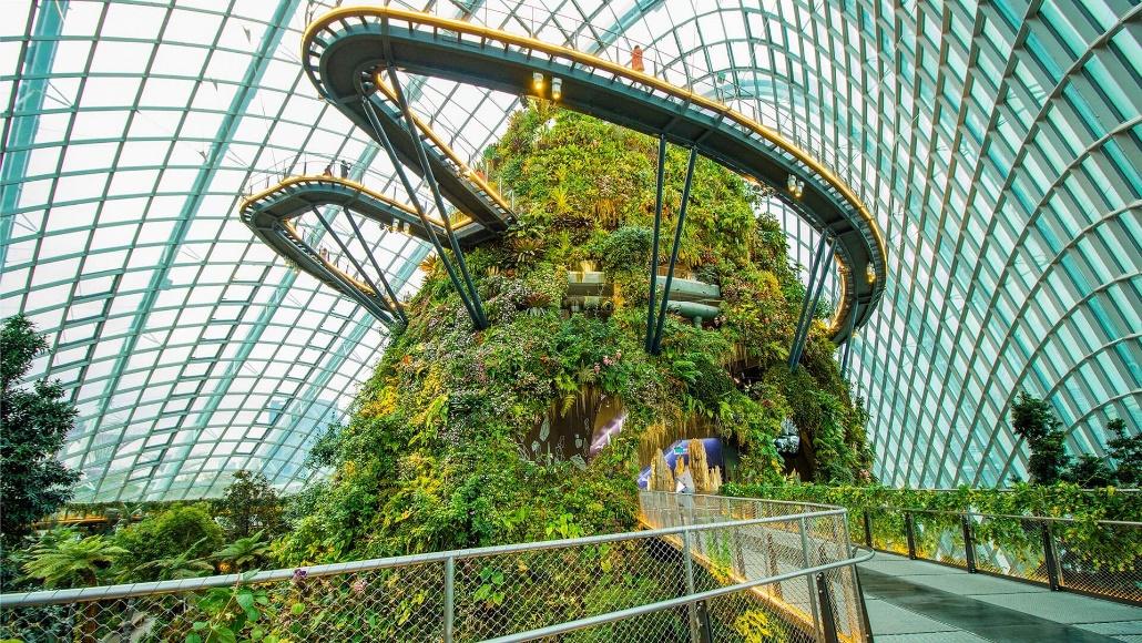 A forest inside a building