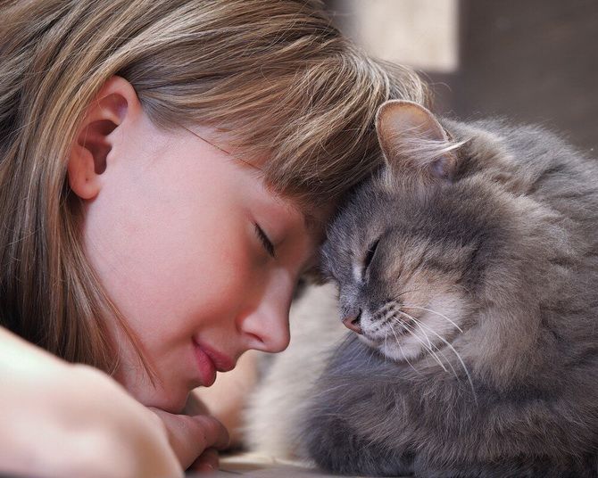 15 Amazing Facts About Cats + Mood Kit 5