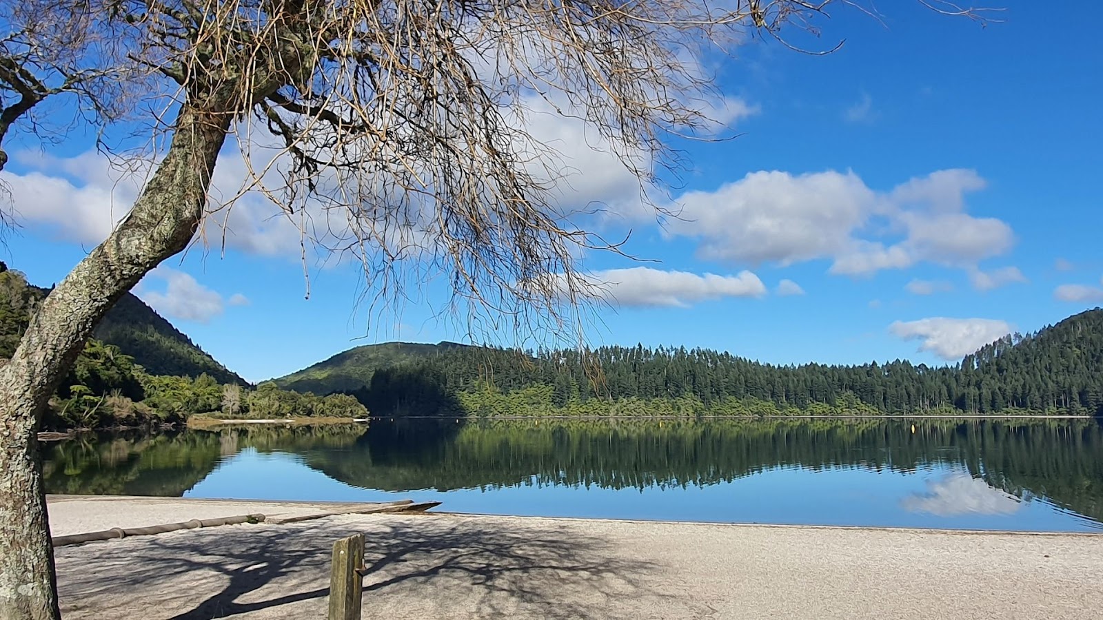 Lake Tikitapu (Blue lake) Rotorua on blue sky day