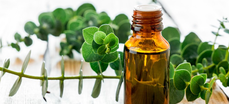 essential oils for congestion