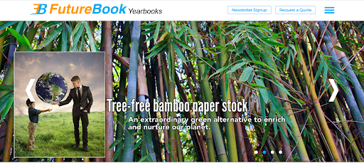 Old design of the FutureBook Yearbooks website.