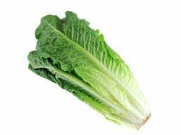 Romaine Lettuce | Market Online - Pickup On-Farm or Have it Delivered | Lee  & Maria's